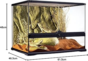 Amazon | エキゾテラ GEX EXOTERRA グラステラリウム 6045 PT2610