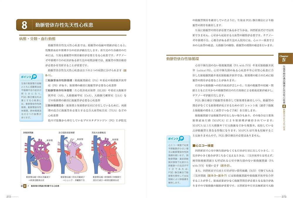 改訂2版 新生児の心エコー入門:超音波検査にもとづくNICU循環管理の