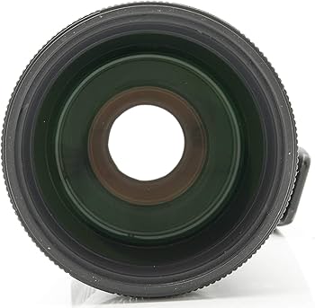 Amazon.co.jp: TAMRON 超望遠ズームレンズ SP AF200-500mm F5-6.3 Di