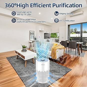 Amazon.com: ZXBEER H13 True HEPA Air Purifier with Remote Control
