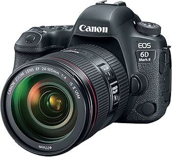 3,909ショット！ Canon EOS 6D Wi-Fi キャノン #8884 3,909ショット