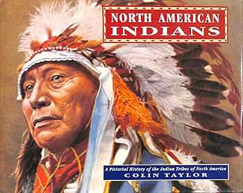 810HJdNLNKL._AC_UF350,