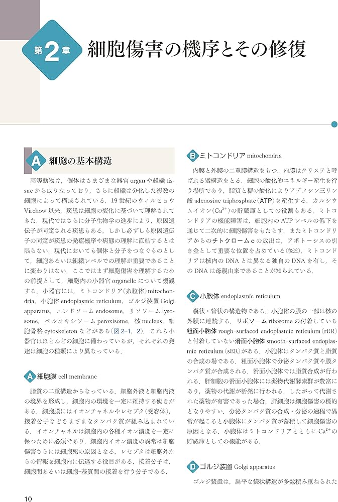 Amazon.co.jp: 標準病理学 第7版 (Standard Textbook) : 北川 昌伸