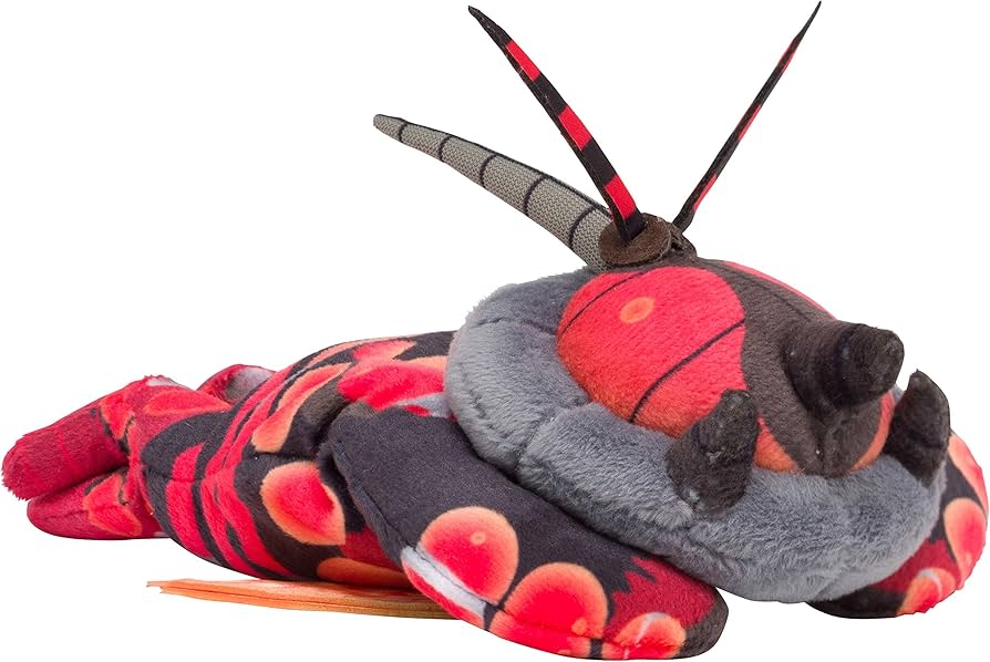 Amazon.co.jp: ポケモンセンターオリジナル くったりぬいぐるみ