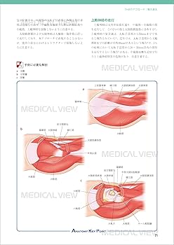 股関節の再建手術［Web動画付］ (新OS NEXUS No.8) | 松田 秀一 |本