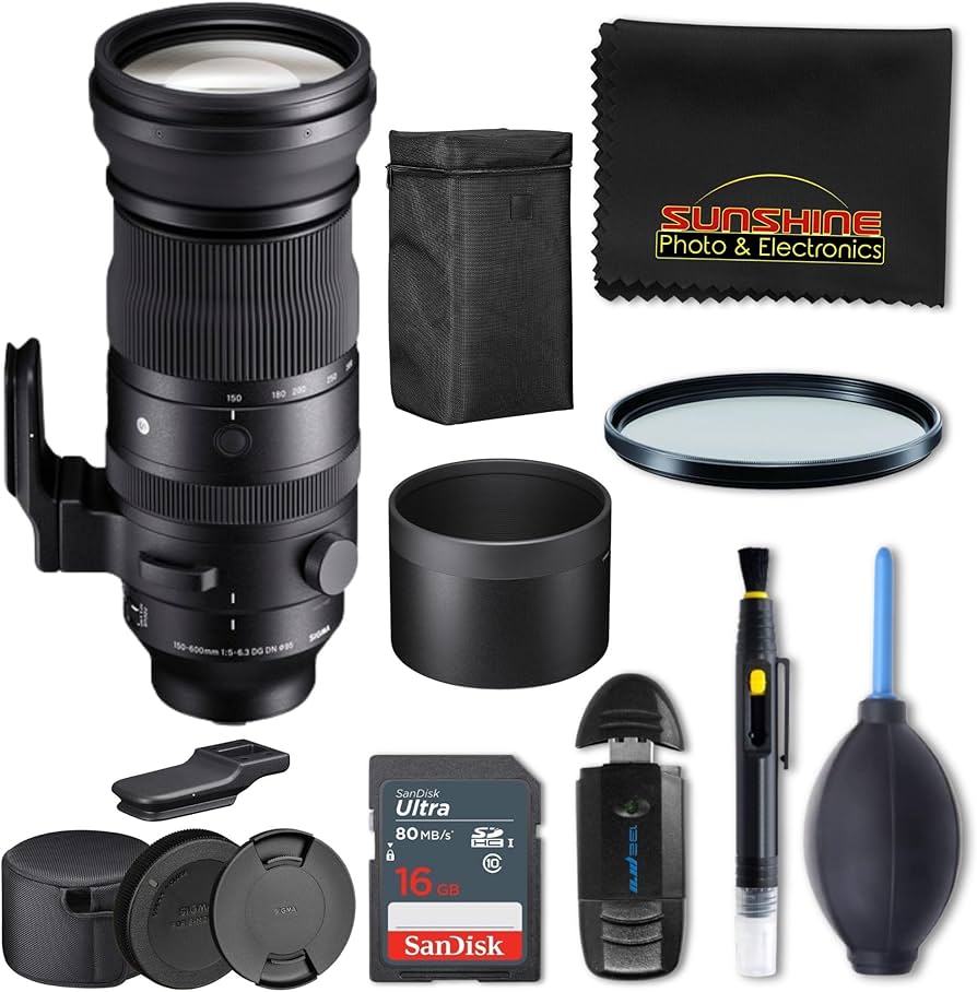Amazon.com : Sigma 150-600mm f5-6.3 DG DN OS Sports Lens for Sony