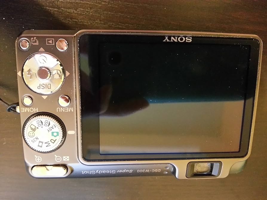 Amazon.com : Sony Cybershot DSCW300 13.6MP Digital Camera with 3x