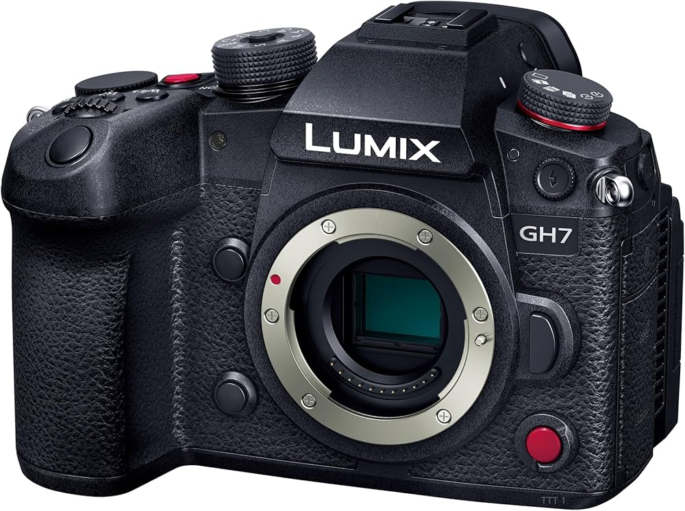 Amazon.co.jp: パナソニック(Panasonic) ミラーレス一眼カメラ