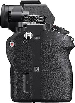 Amazon.com : Sony a7S II ILCE7SM2/B 12.2 MP E-mount Camera with