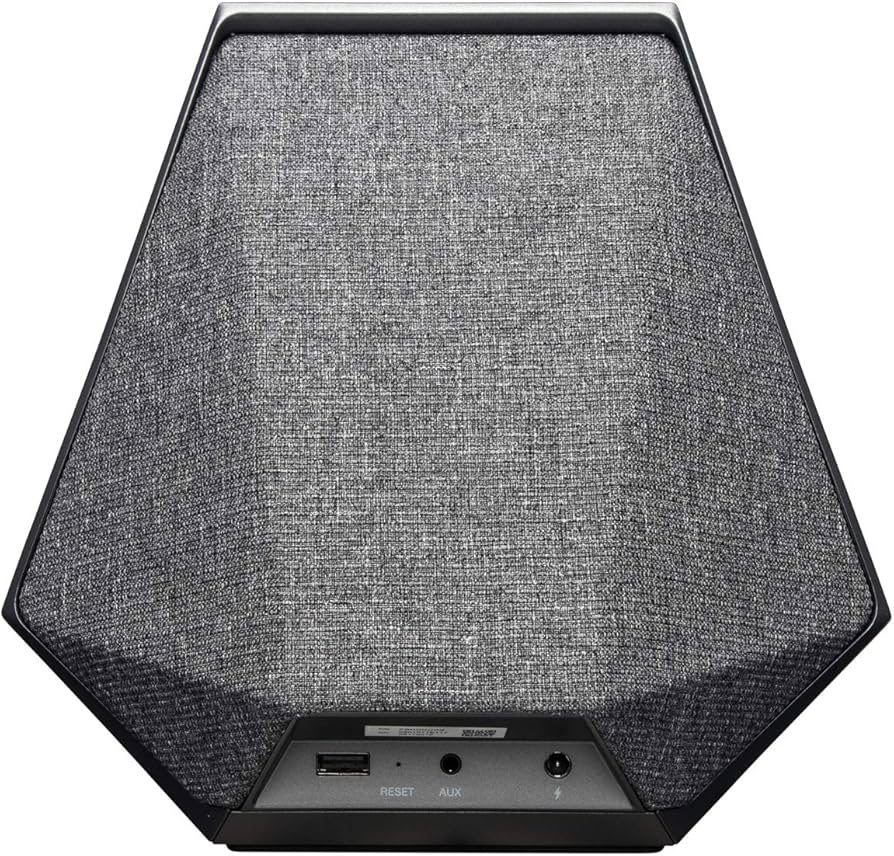 Amazon.co.jp: Dynaudio Music 1 インテリジェントワイヤレス