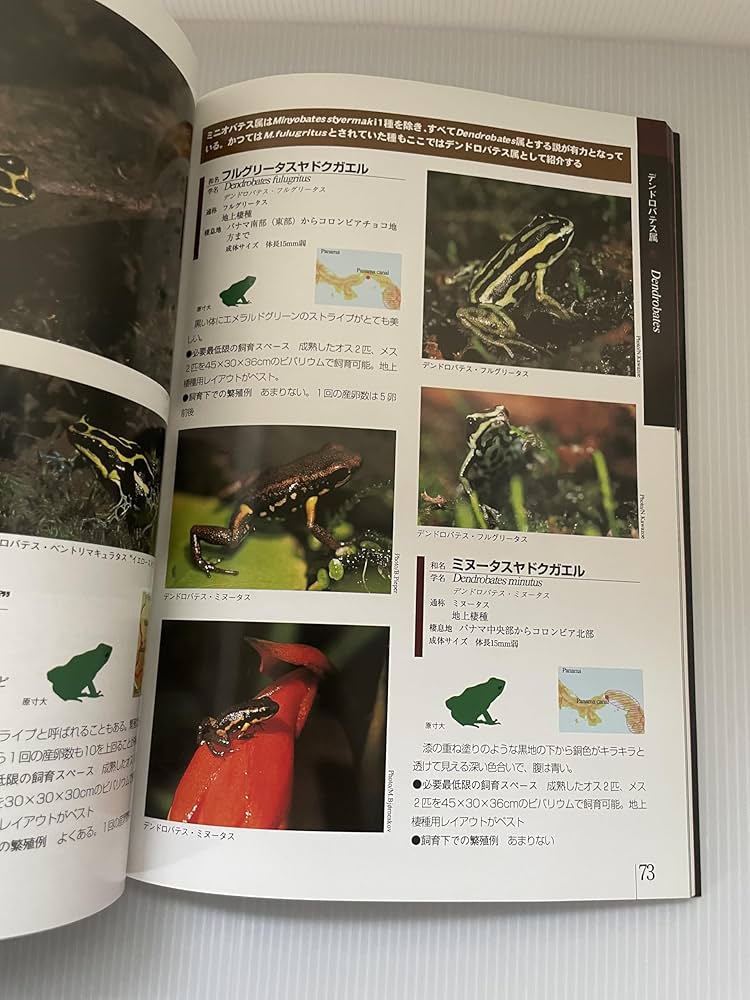 ヤドクガエル: 世界のヤドクガエルの美しい色彩・生態・飼育 (爬虫