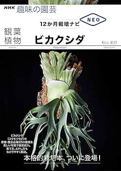 812FzuasWmL._AC_UF350,