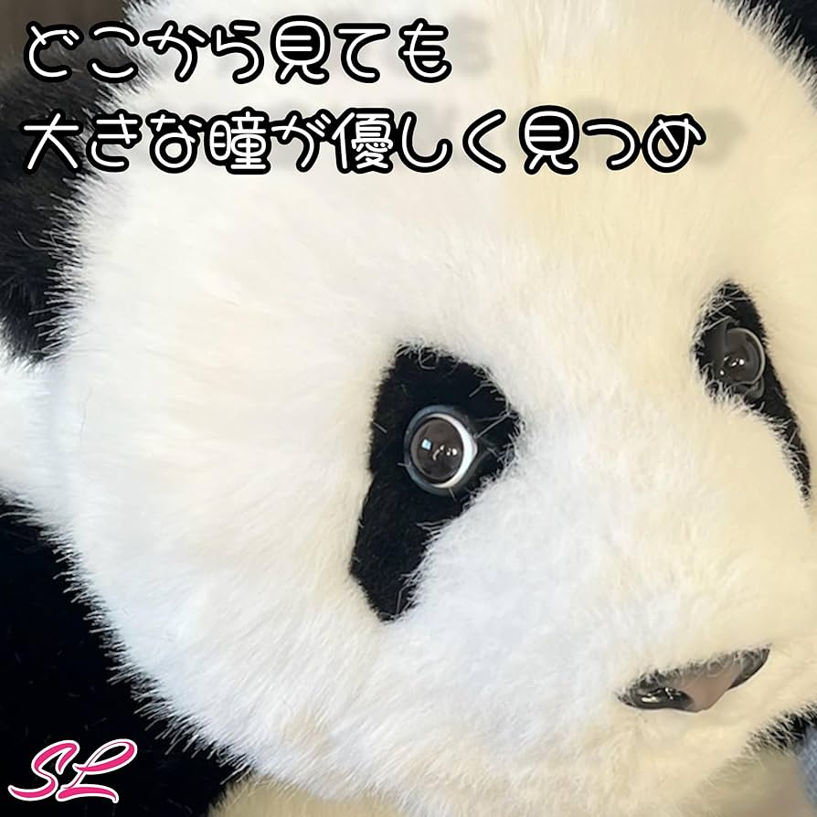 Amazon.co.jp: リアルパンダ ぬいぐるみ 誕生日 記念日 プレセント最適
