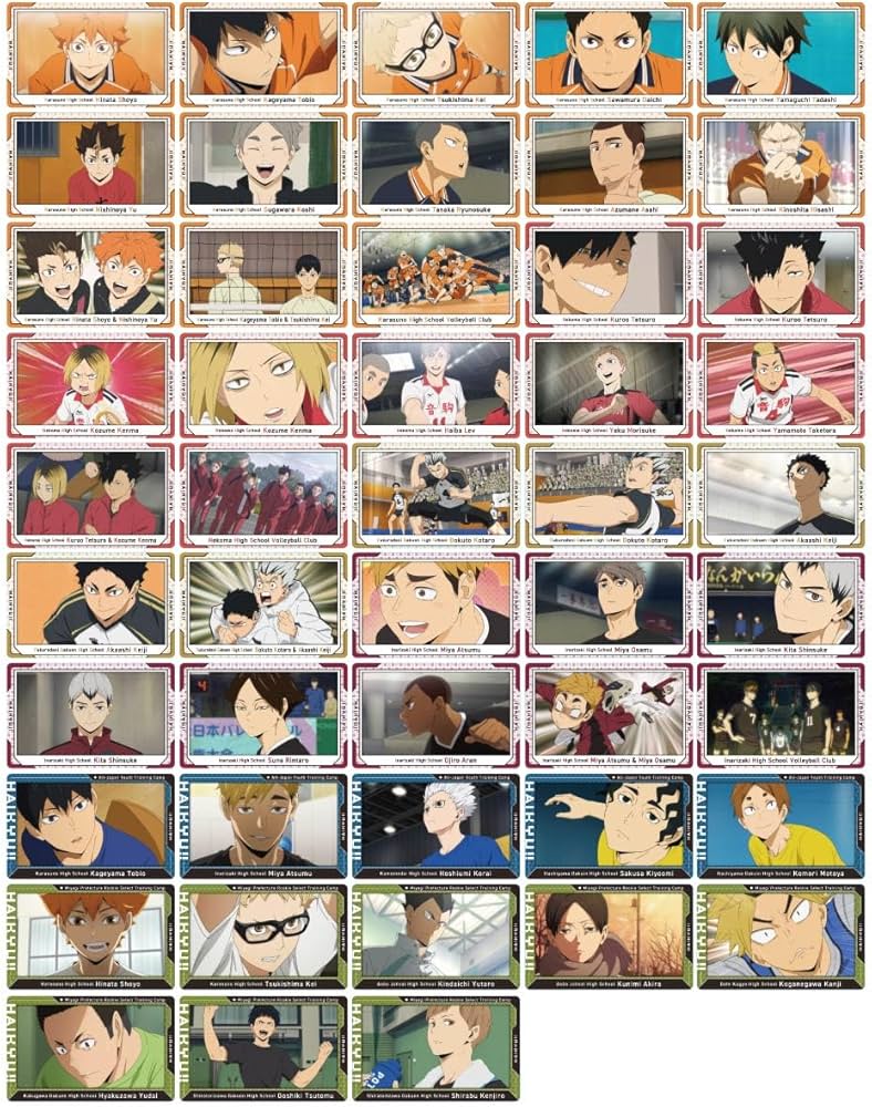 Amazon.co.jp: エンスカイ ハイキュー!! スナップカード BOX商品 全48