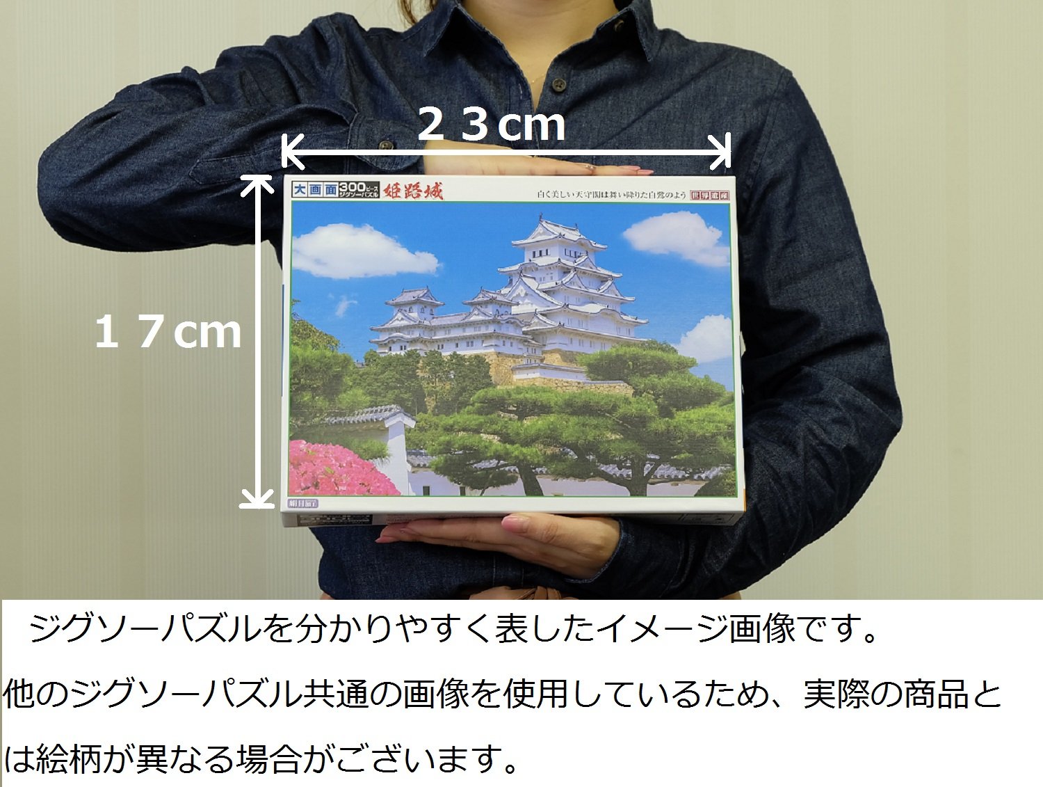 Amazon.co.jp: 300ピース 大きく飾れる 大画面ジグソーパズル 世界遺産