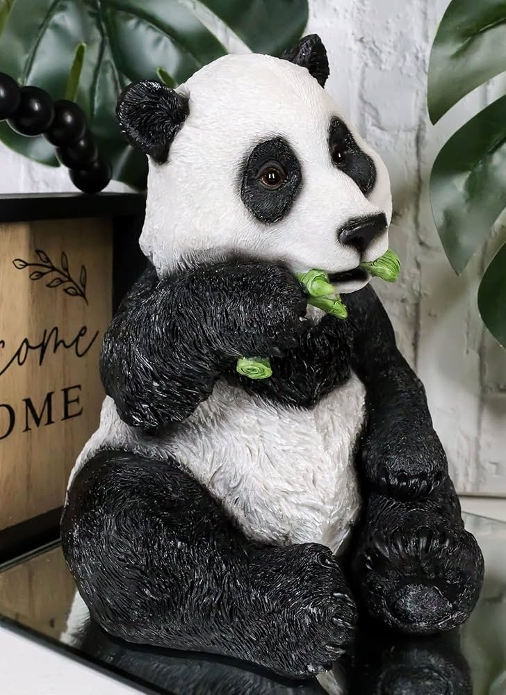 8137+9TG6vL._AC_UF894,