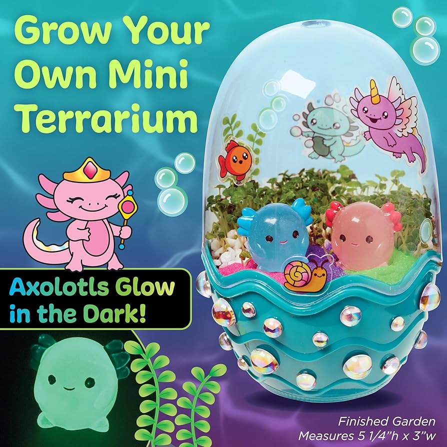 Amazon.com: Creativity for Kids Mini Garden: Axolotl Terrarium