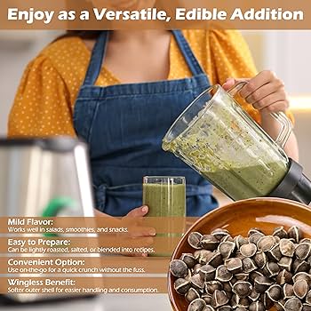 Amazon.com: Moringa Seeds Wingless 1 lb. Wide Mouth JAR - PKM1