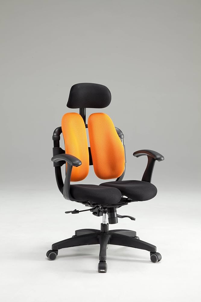 HARA CHAIR ハラチェア ライル ニーチェ オフィスチェア HARA CHAIR