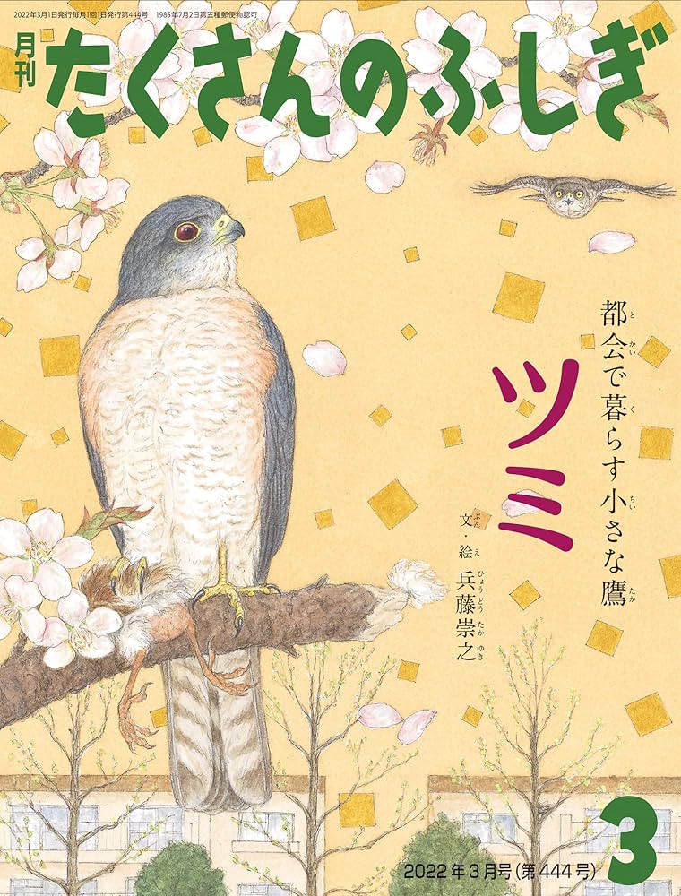 月刊たくさんのふしぎ 2003年〜2007年 月刊たくさんのふしぎ 2003年〜