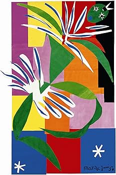 81+WF4QPAeL._AC_UF350,