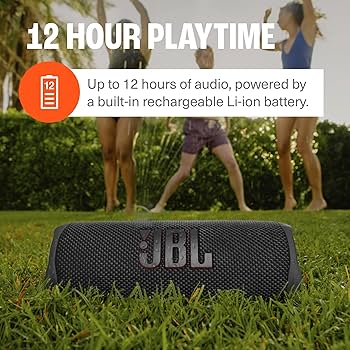 Amazon.com: JBL Flip 6 (Gray) + Bundle with divvi! Protective