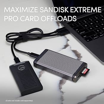 Amazon.com: SanDisk Professional PRO-Reader SD and microSD - High