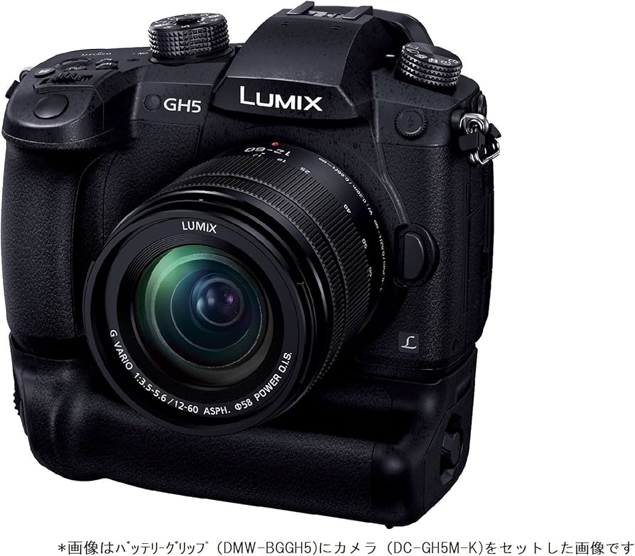 Amazon | パナソニック(Panasonic) DMW-BGGH5 LUMIX バッテリー