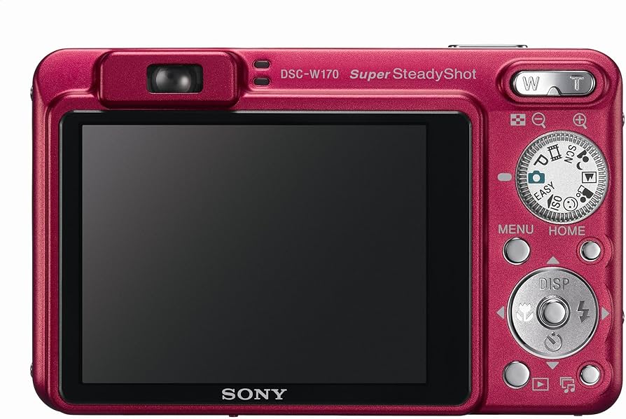 動作確認済】SONY ソニー Cyber-Shot DSC-W170 Amazon.com : Sony