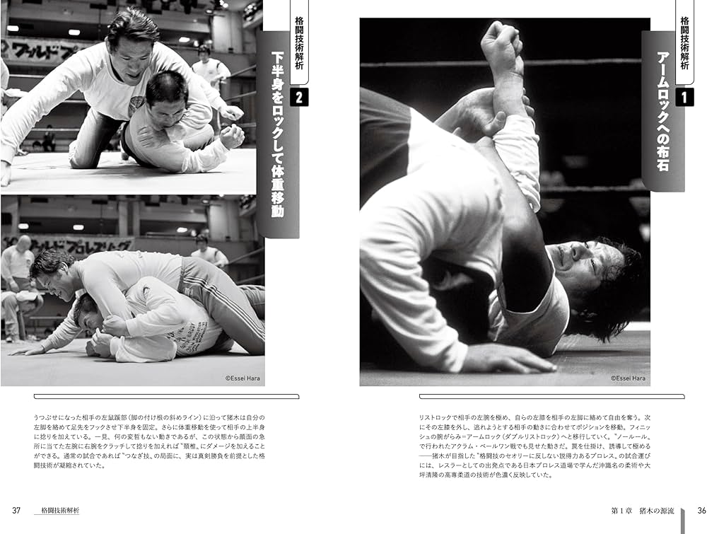 格闘家 アントニオ猪木 ─ファイティングアーツを極めた男─ | 木村