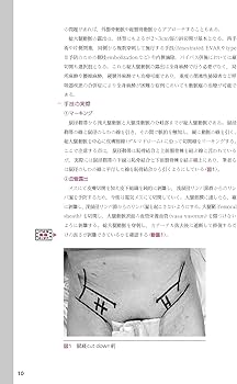 ステントグラフト内挿術マニュアル 腹部編【動画を含む電子版付