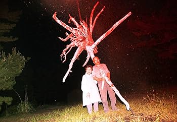 Amazon.co.jp: 螺旋海岸 album : 志賀理江子: 本