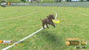 Amazon.co.jp: LITTLE FRIENDS (リトルフレンズ) - DOGS & CATS