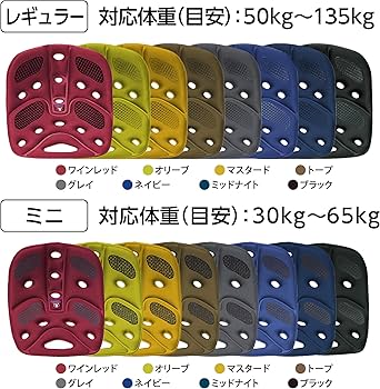 Amazon.co.jp: BackJoy(バックジョイ) リリーフグリップ レギュラー