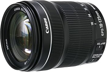 Canon EF-S 18-135mm f/3.5-5.6 is STM Lens : Amazon.ca: Electronics