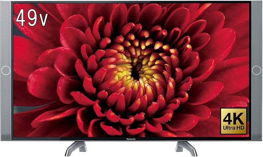 Panasonic 49型液晶テレビ パナソニック VIERA TH-49D305 [49インチ