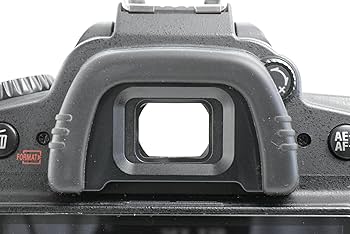 Amazon.com : Nikon D90 12.3MP DX-Format CMOS Digital SLR Camera