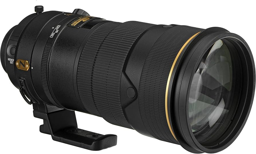 Amazon.com : Nikon AF-S FX NIKKOR 300mm f/2.8G ED Vibration