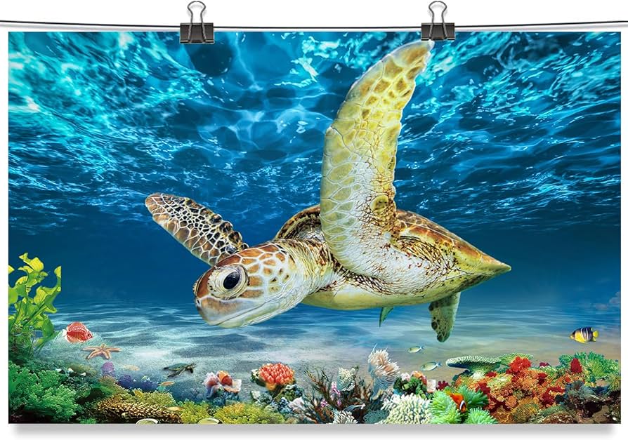 Amazon.co.jp: ウミガメ ウォールアート ポスター - カメの絵画