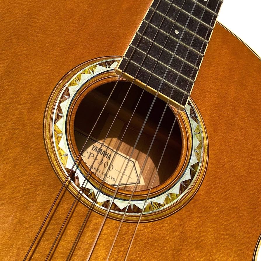 Amazon | Jockomo アコースティックギター の サウンドホールに