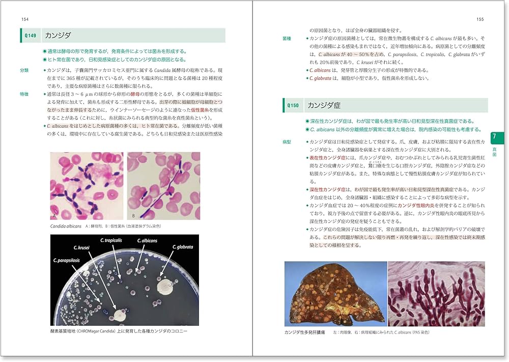 新微生物学 (Qシリーズ) | 舘田 一博, 松本 哲哉, 岩田 敏, 槇村 浩一