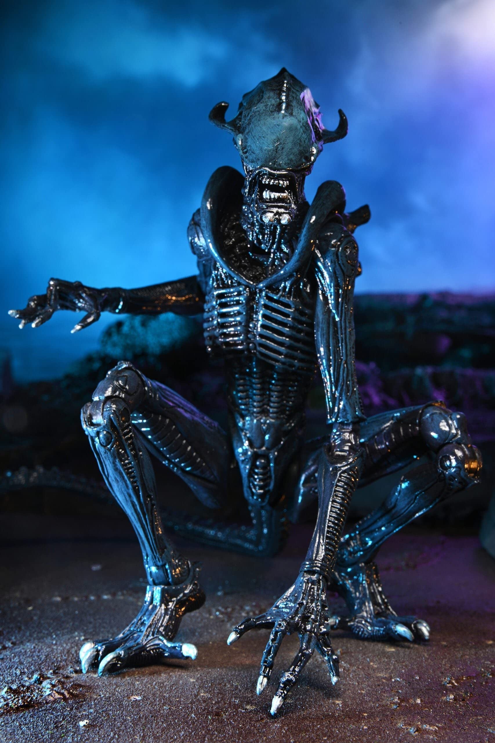Amazon.com: NECA Alien vs Predator 7
