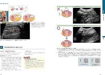 ビジュアルと動画でわかる！ 犬と猫の腹部超音波の描出レッスン 上巻