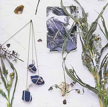 Amazon.co.jp: 夏のぬけがら - 真島昌利: ミュージック