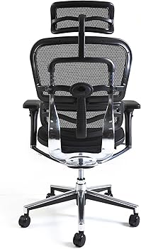 Amazon.co.jp: 【旧型】 エルゴヒューマン ベーシック オフィスチェア