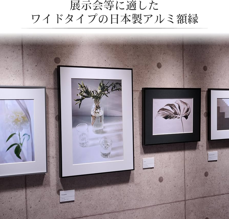 Amazon | ハクバ HAKUBA 額縁 アルミ HFA-03 A3ノビ アクリル板