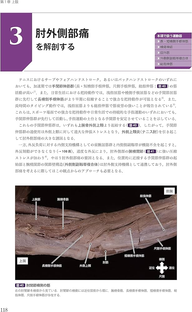 運動療法その前に! 運動器の臨床解剖アトラス: 9784260043137: Books