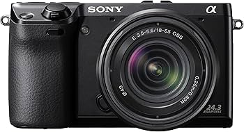 Amazon.com : Sony NEX-7 24.3 MP Mirrorless Digital Camera - Body