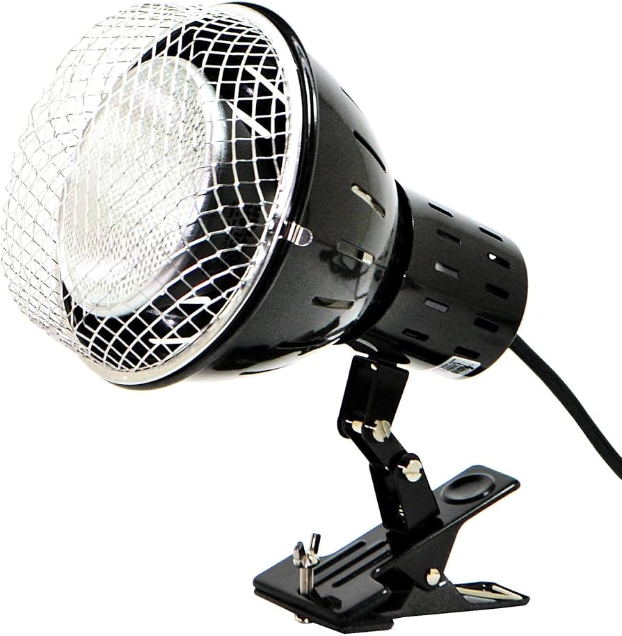 Amazon | ゼンスイ ソーラーラプター HIDランプ 70W | ゼンスイ