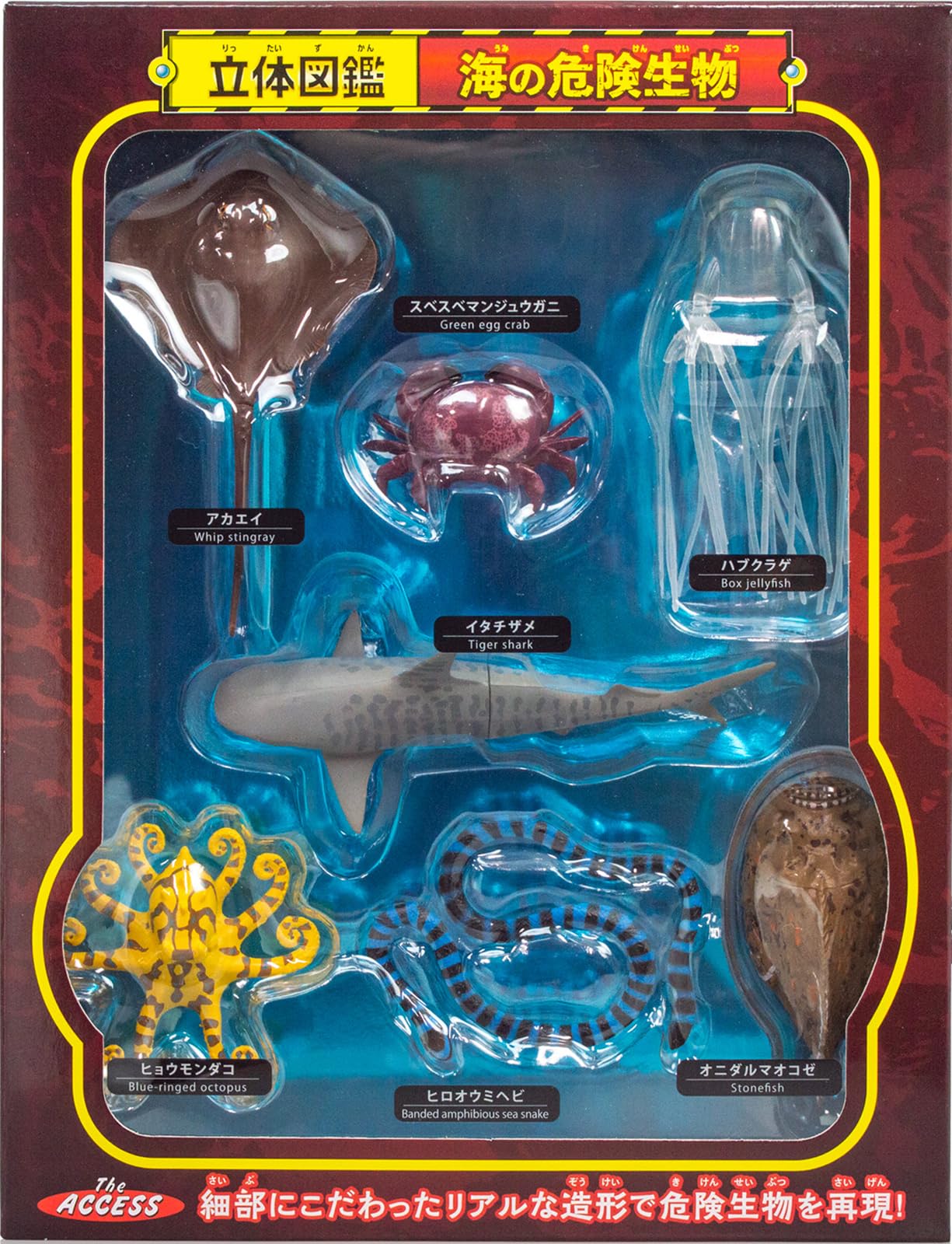 Amazon | ザ・アクセス フィギュア 海の危険生物 立体図鑑 動物 水族館